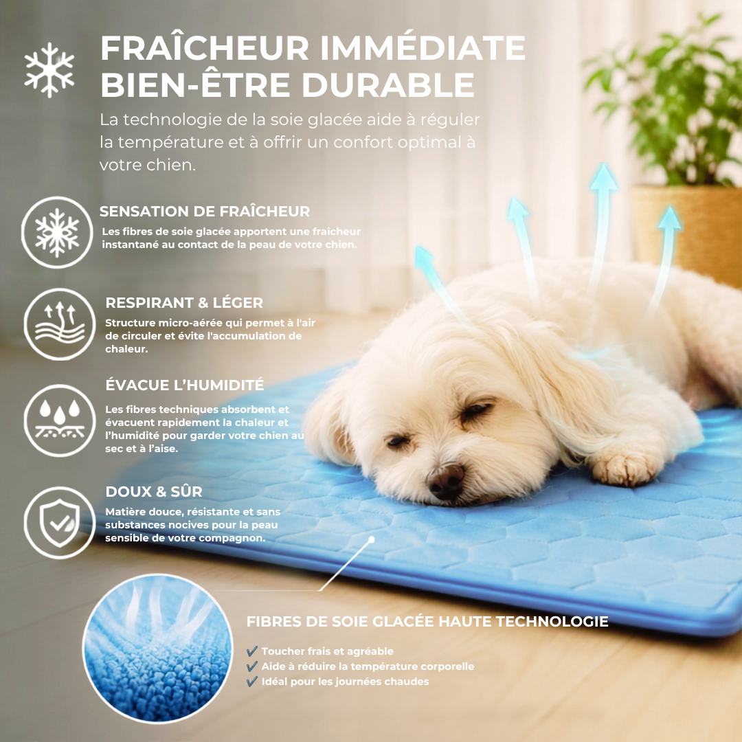 Tapis rafraîchissant en soie glacée